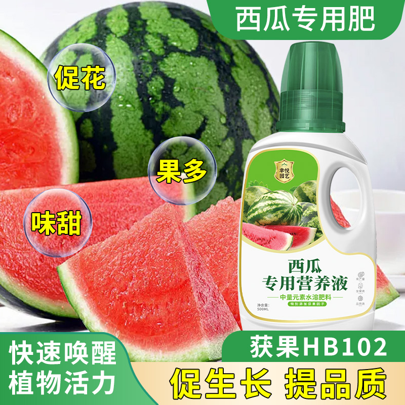 西瓜营养液西瓜专用肥增甜增产西瓜苗叶面生根壮苗水溶肥料营养肥