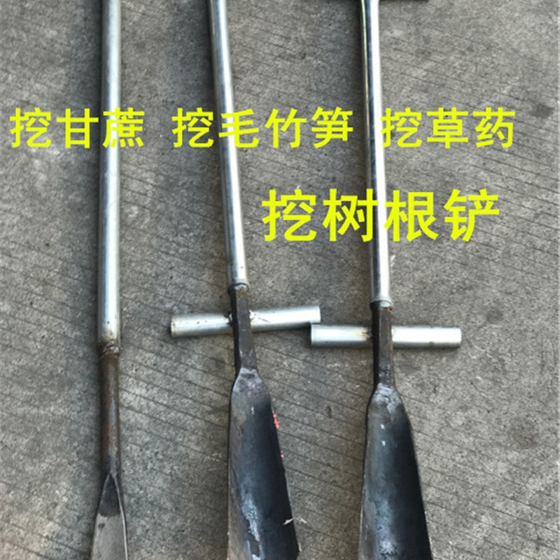 挖树铲挖山药挖甘蔗胡萝卜挖草药 冬笋挖花园林工具挖毛竹笋