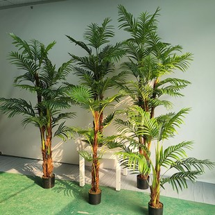 绿霸仿真棕竹葵 绿植盆栽假树散尾葵大型夏威夷葵凤尾葵落地