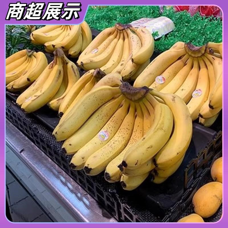 超市香蕉陈列架垫板货架展示弧形香蕉展示架台香蕉摆放底托水果架