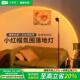 ins小红帽落地灯客厅轻奢网红台灯落日夕阳气氛灯沙发旁边灯R335