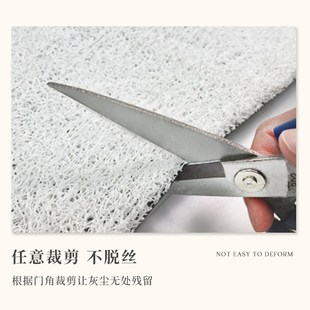 卡皮巴拉入户门丝圈地垫进门耐脏防滑卡通可爱门口地毯家用脚垫子