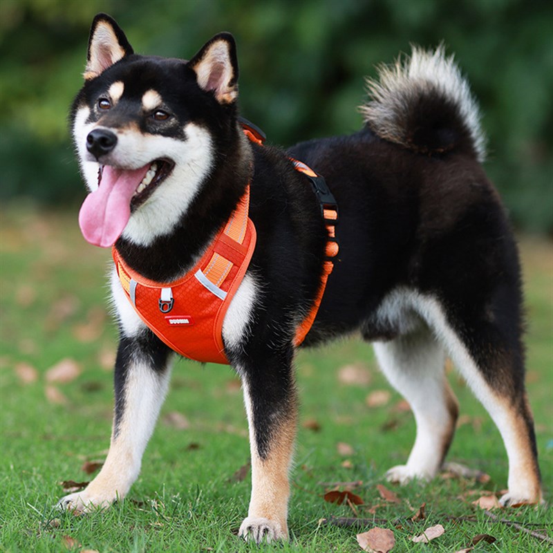 背心式狗狗牵引绳中小型犬柴犬柯基犬幼犬可调节胸背带遛狗绳
