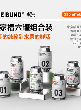 The Bund 6听全家福组合装皮尔森德式小麦IPA果味精酿啤酒全麦