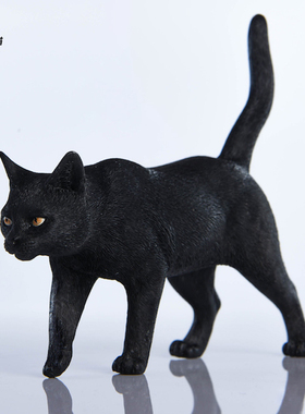JXK 中华田园猫/小黑猫u模型 仿真猫咪迷你小动物手办摆件树脂摆