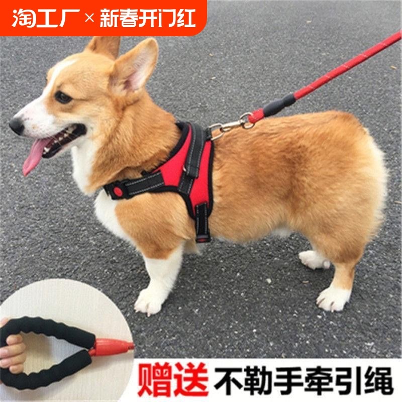 狗狗背心式胸背带牵引绳小型中型犬遛狗金毛拉布拉多泰迪狗链狗绳