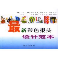 【正版包邮】 最新彩色报头设计范本 丁珀 阳雨 漓江出版社
