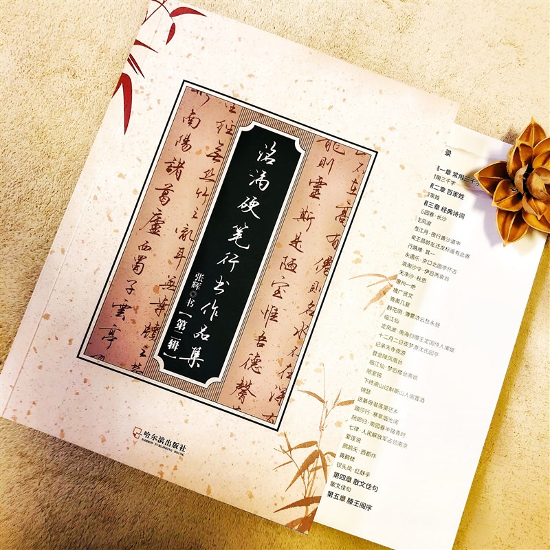 洺渪行书字帖第二辑三千字百家姓经诗词散L文【88页+滕王阁序】