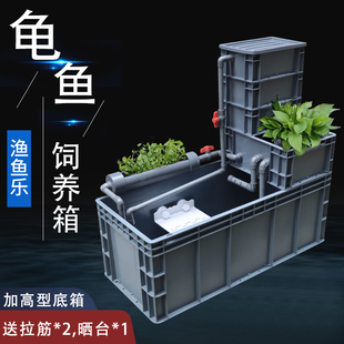 加高加厚周转箱养龟箱鱼缸龟缸过滤器乌龟L饲养缸沼泽免换水乌龟
