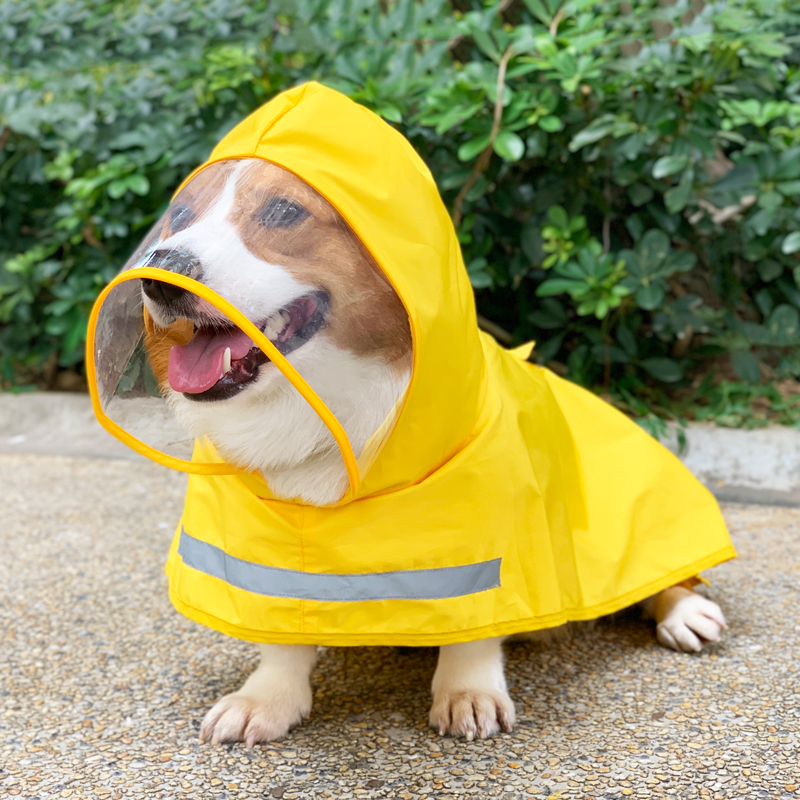 宠物狗雨衣柯基雨披防水防脏护肚子比熊雪纳瑞柴犬中小型犬外出衣