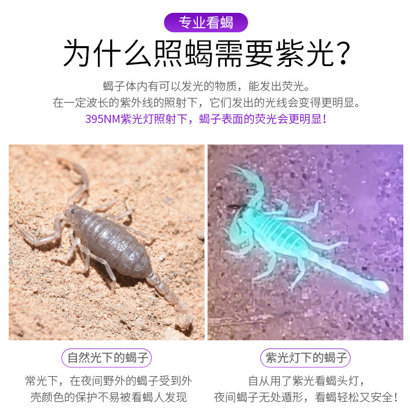 银诺蝎子灯充电手提手电筒超亮户外照蝎子强光紫光灯超长续航