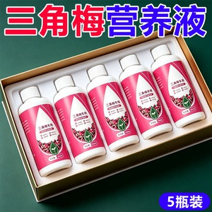 三角梅开花专用营养液肥促花爆花