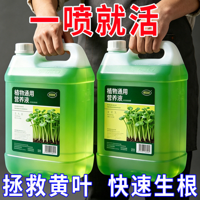 超浓缩植物营养液花肥通用化肥料家用绿植盆栽绿萝叶黄富贵竹