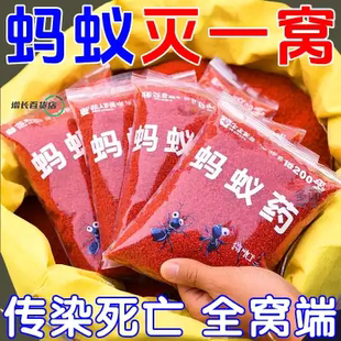 蚂蚁克星 强效蚂蚁药全窝端家用非无毒厨房室内户外菜地灭蚁粉