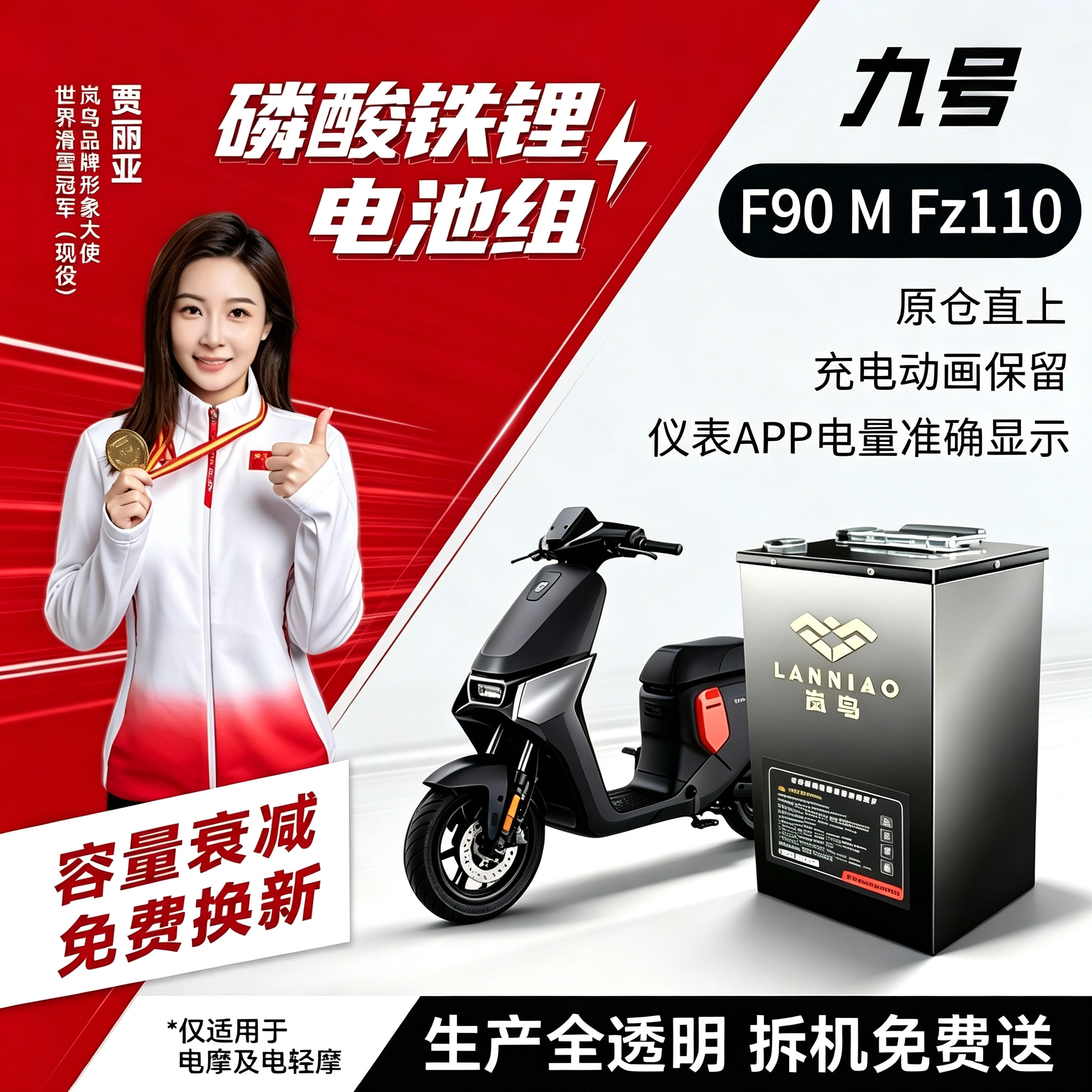 九号电动车F系列磷酸铁锂电池
