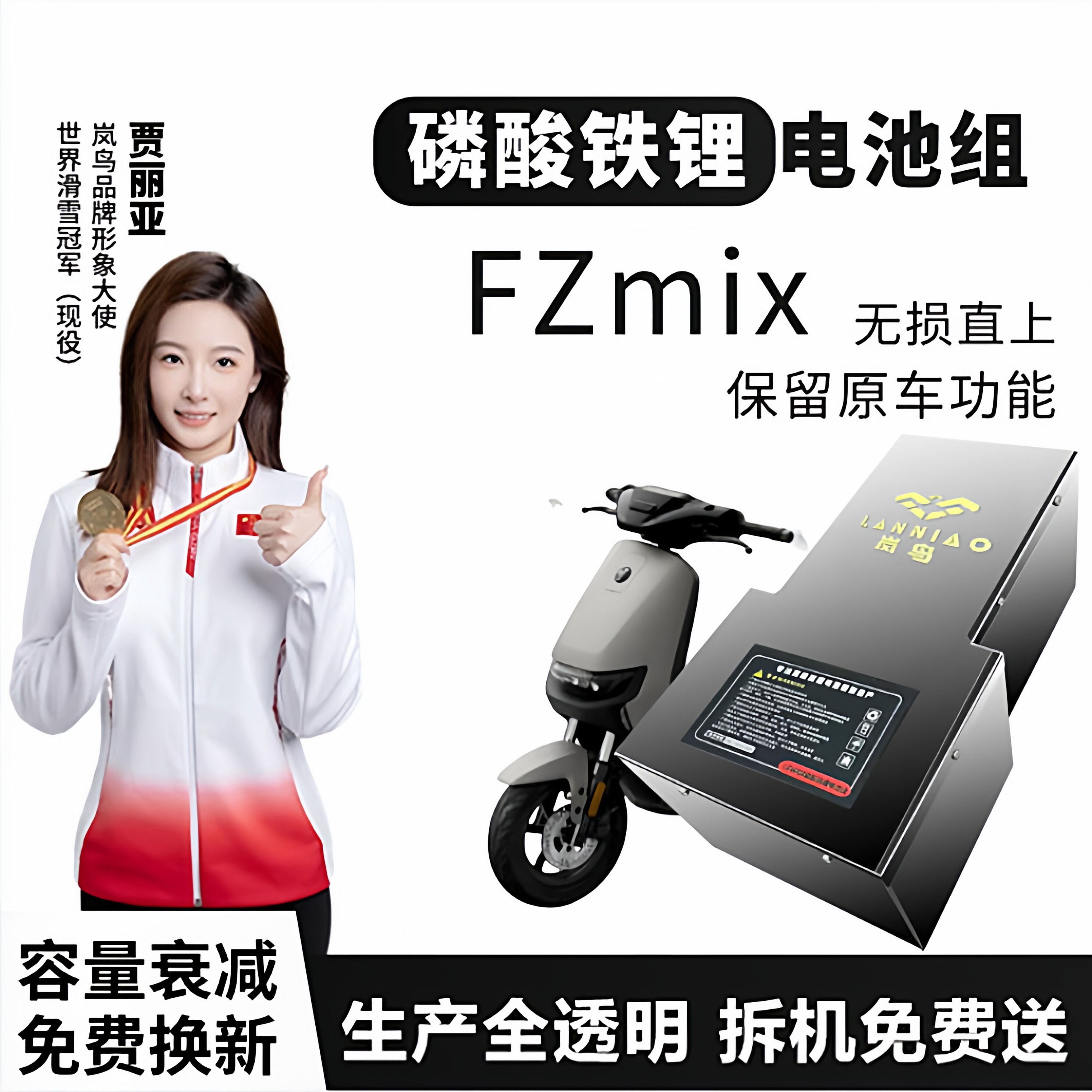 九号电动车FZmix岚鸟48V60V72V磷酸铁锂电池无损直上保留原车功能