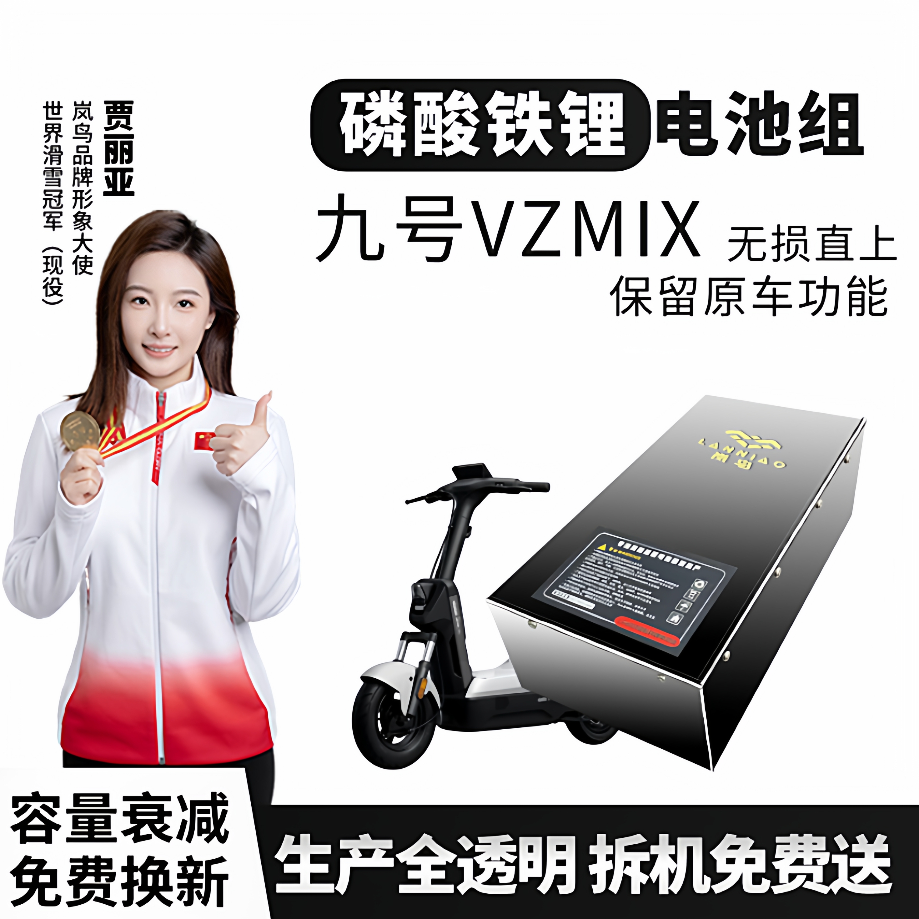 九号电动车VZmix磷酸铁锂电池