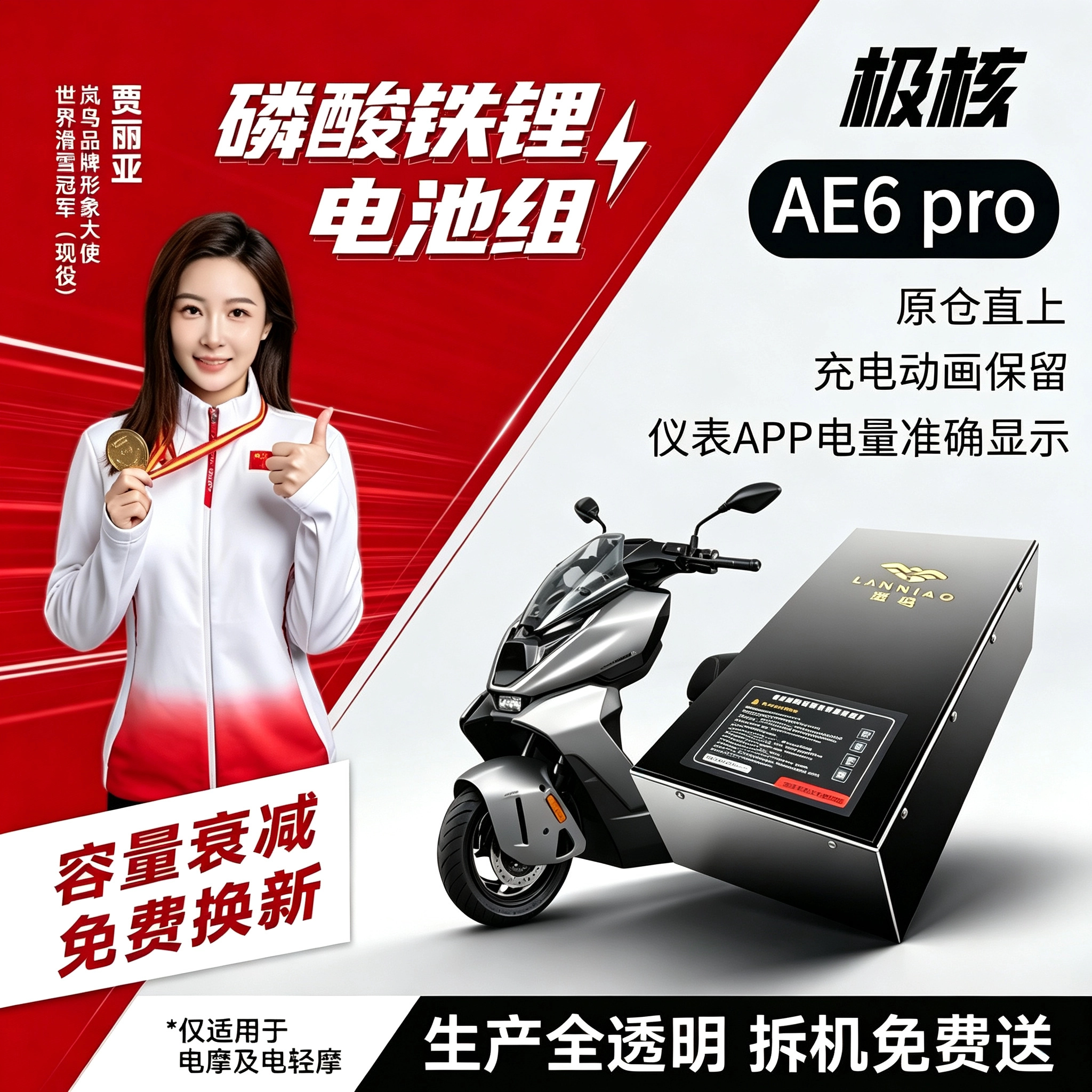 极核AE6PRO直上岚鸟磷酸铁锂电池