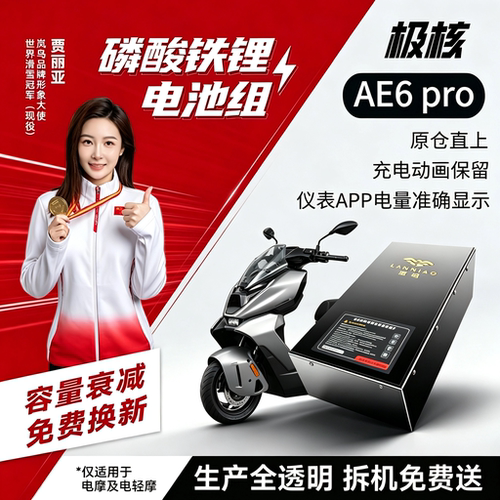 极核AE6PRO直上岚鸟磷酸铁锂电池