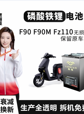 九号电动车F90M F60 F35 F2z岚鸟磷酸铁锂电池48V保留功能增程