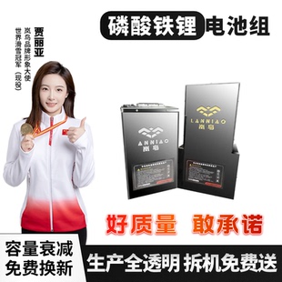 岚鸟电动车锂电池48V60V72V磷酸铁锂两轮三轮外卖快递电瓶车定制