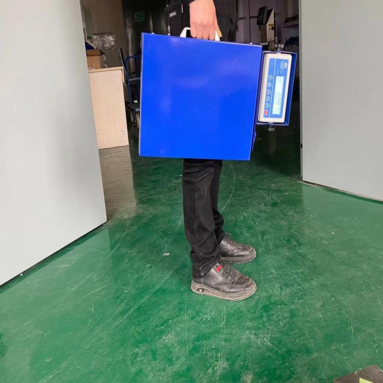 垃圾环保蓝牙秤便携式蓝牙手提秤150kg圆通快递物流手提秤