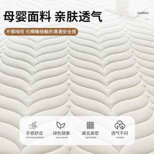 通用防滑全包床套床垫保护罩 大豆加厚加棉床笠床罩四季