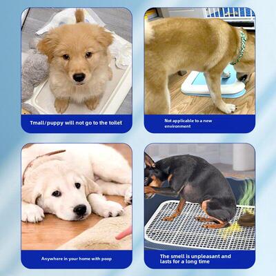 犬厕所定点排便诱导器训练犬排便喷雾器防止犬撒尿神器