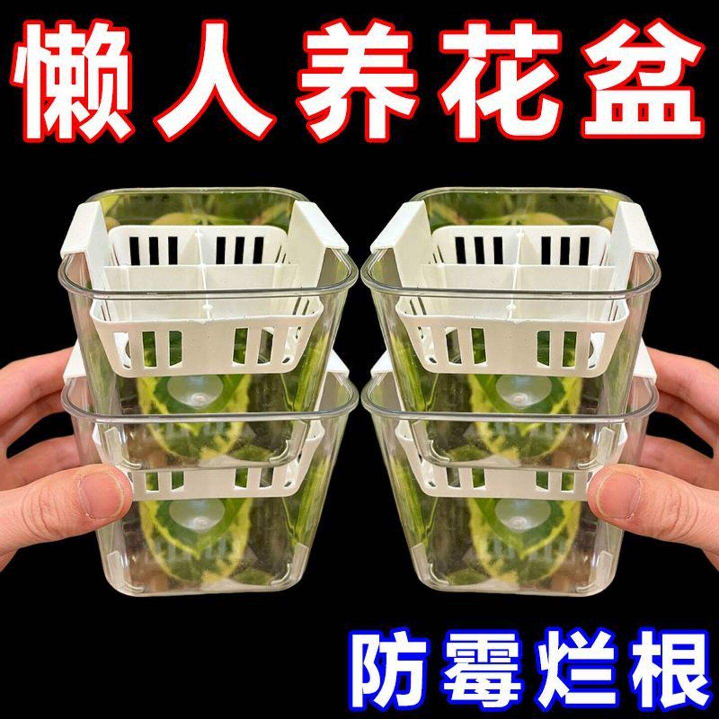 水培种球透明方形多孔排水花盆