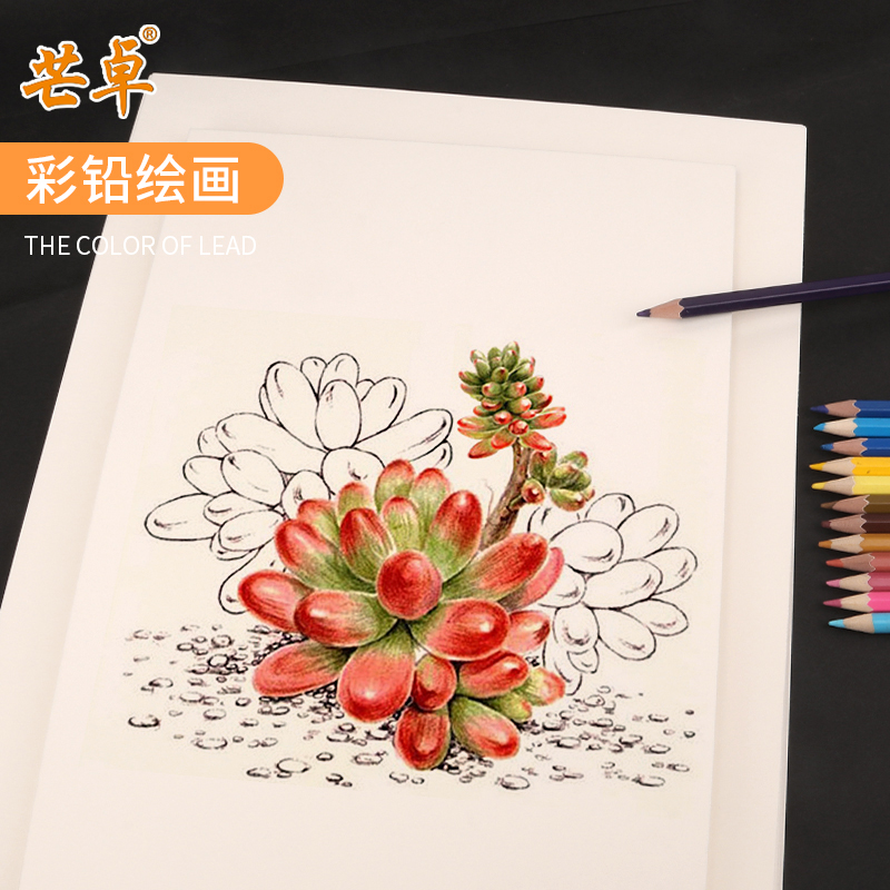 本色白卡纸A4A3绘画白卡纸4开8开4K美术画画素描马克笔手绘彩绘手