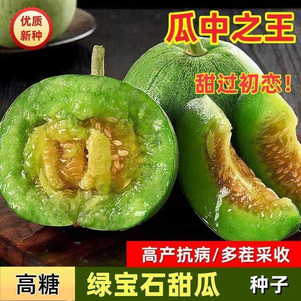 绿宝石甜瓜种子超甜薄皮香瓜冰糖春季四季脆瓜高青皮产香瓜籽