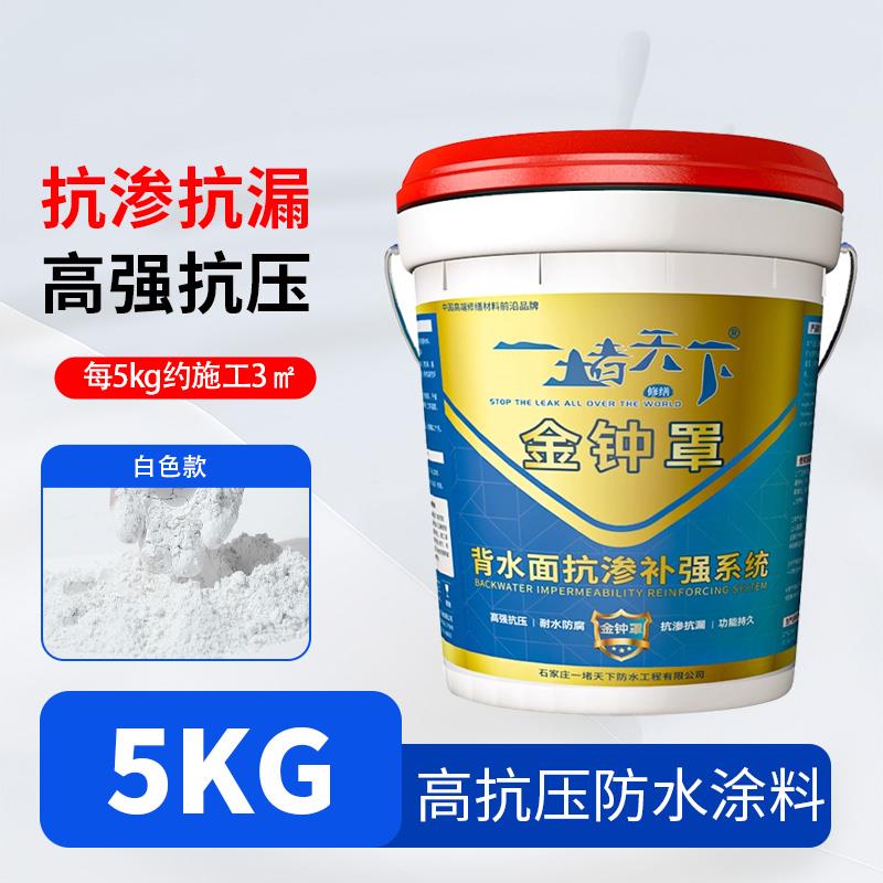 地下室背水压防水涂料金钟罩内墙外墙面防潮防霉返碱抗渗透背水面