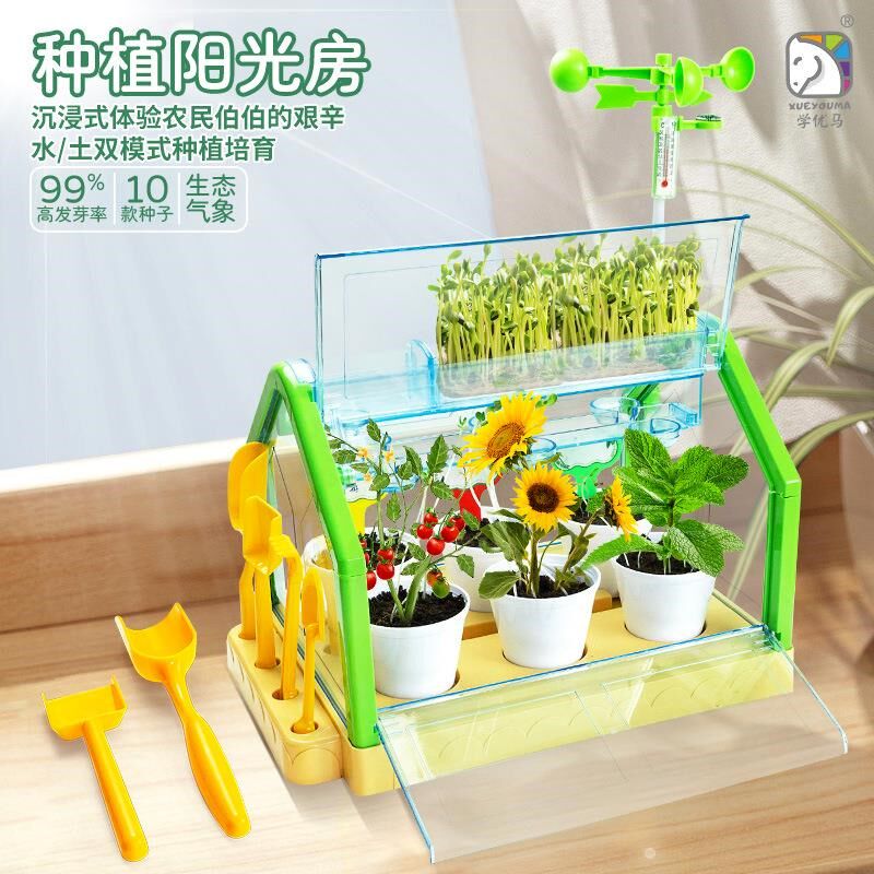 学优马阳光房种植DIY种菜种花观察D科学小实验套装幼儿园种菜盆6
