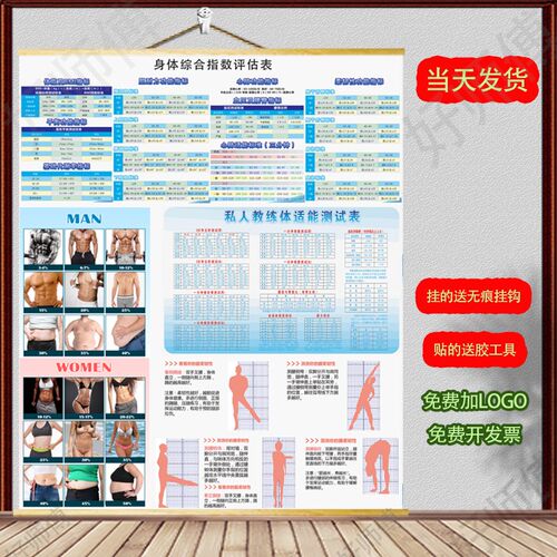 现货体脂率姿势对k比综合多功能图体态评估图体脂率百分对比图挂