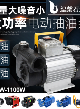 大功率静音自吸泵柴油汽油12V24V220VJ自动加油泵大吸力电动抽油