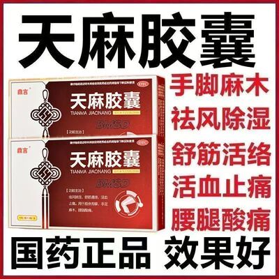 鼎言 天麻胶囊 40粒 手足麻木腰腿酸痛肢体拘挛 活血通络祛风止痛