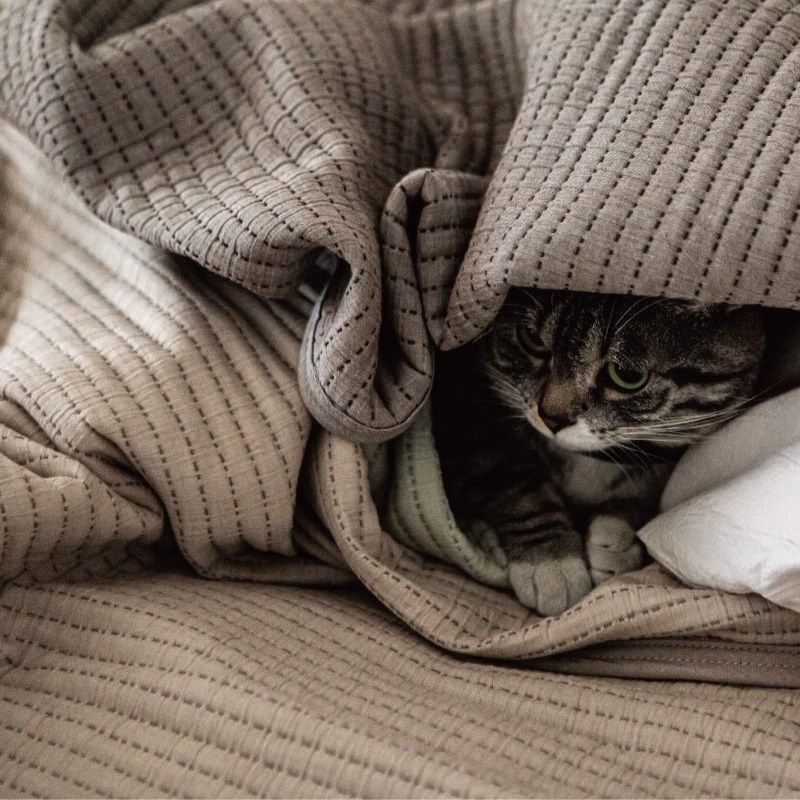 格序绗缝被 Refresh芮夫 全棉四季盖毯简约侘寂复古空调被午睡,床上用品,休闲毯/毛毯/绒毯,淘宝优惠券,粉丝福利购,淘宝优惠卷