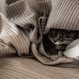 格序绗缝被 Refresh芮夫 全棉四季盖毯简约侘寂复古空调被午睡