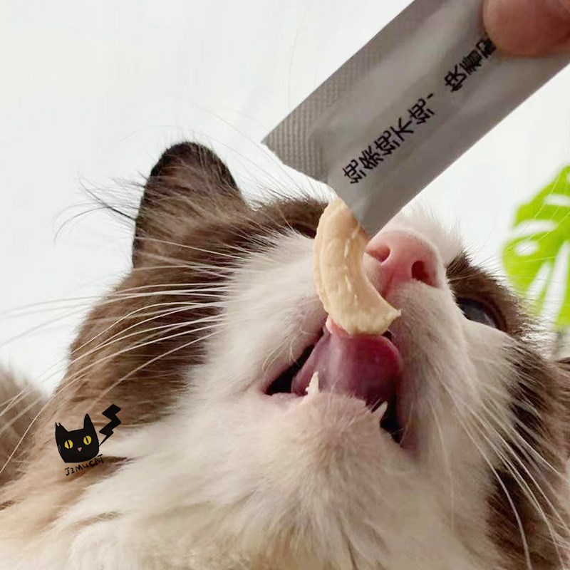 阿飞巴弟纯猫条猫咪肉泥酱包猫零食湿粮罐头糊状流食营养离乳期