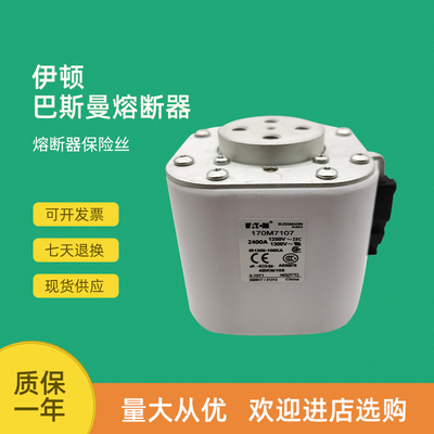 全新快速熔断器保险170M7106 170M7107 170M7115 170M7118