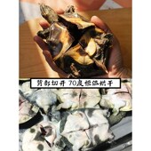 宠物零食烘干整只甲鱼中大型狗狗拉布拉多幼犬成犬磨牙棒洁齿肉干