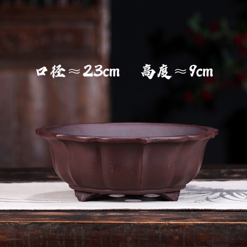 精品宜兴紫砂花盆景盆小多肉花盆云竹菖蒲莲花盆紫砂花盆小号古典