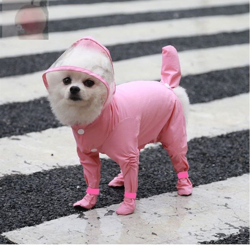 宠物雨衣全包狗狗小型犬雨天衣服四脚防水连身泰迪狗比熊雨披神器,宠物/宠物食品及用品,狗宠物服装/雨衣,淘宝优惠券,粉丝福利购,淘宝优惠卷
