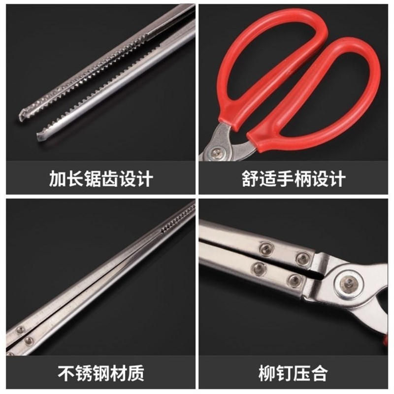 黄鳝夹泥鳅鳝鱼钳防滑赶海神器不锈钢夹蛇加长螃蟹夹子垃圾夹工具