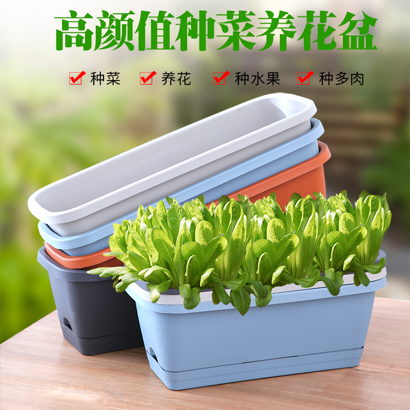 阳台种菜盆种菜神器家庭阳台蔬菜长方形塑料花盆种植盆楼顶种植箱