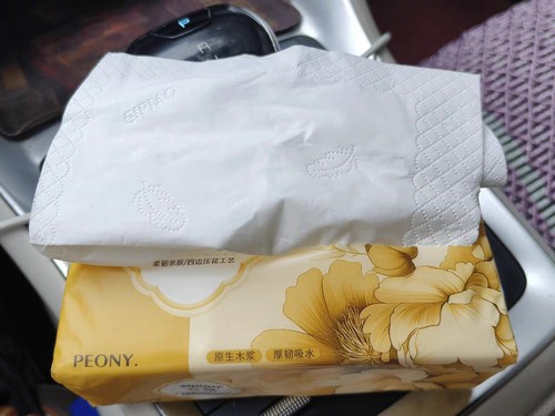 野外专属家庭大箱纸巾大包