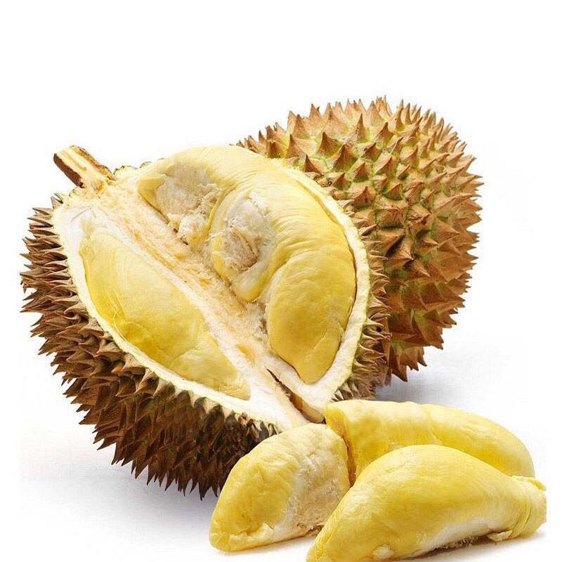 泰國(guó)金枕榴蓮新鮮水果當(dāng)季