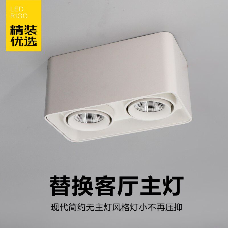 锐果筑光lded明装筒灯方形可调角度双头射灯客厅家用吸顶式斗胆灯