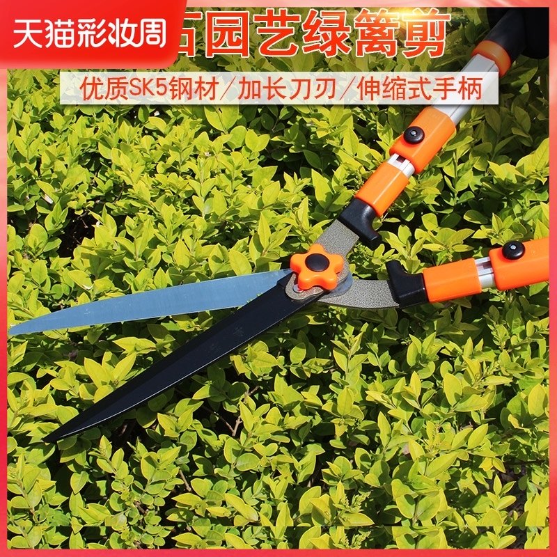 园艺剪刀绿d篱剪伸缩修枝园林绿化工具草坪剪花草家用大剪刀粗枝图片