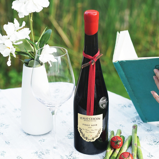 意大利原瓶进口名庄小树枝威尼托IGT凯斯顿黑皮诺干红葡萄酒750ml